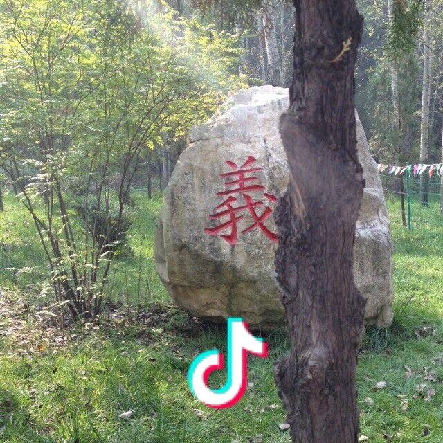 天山旧泰罗头像
