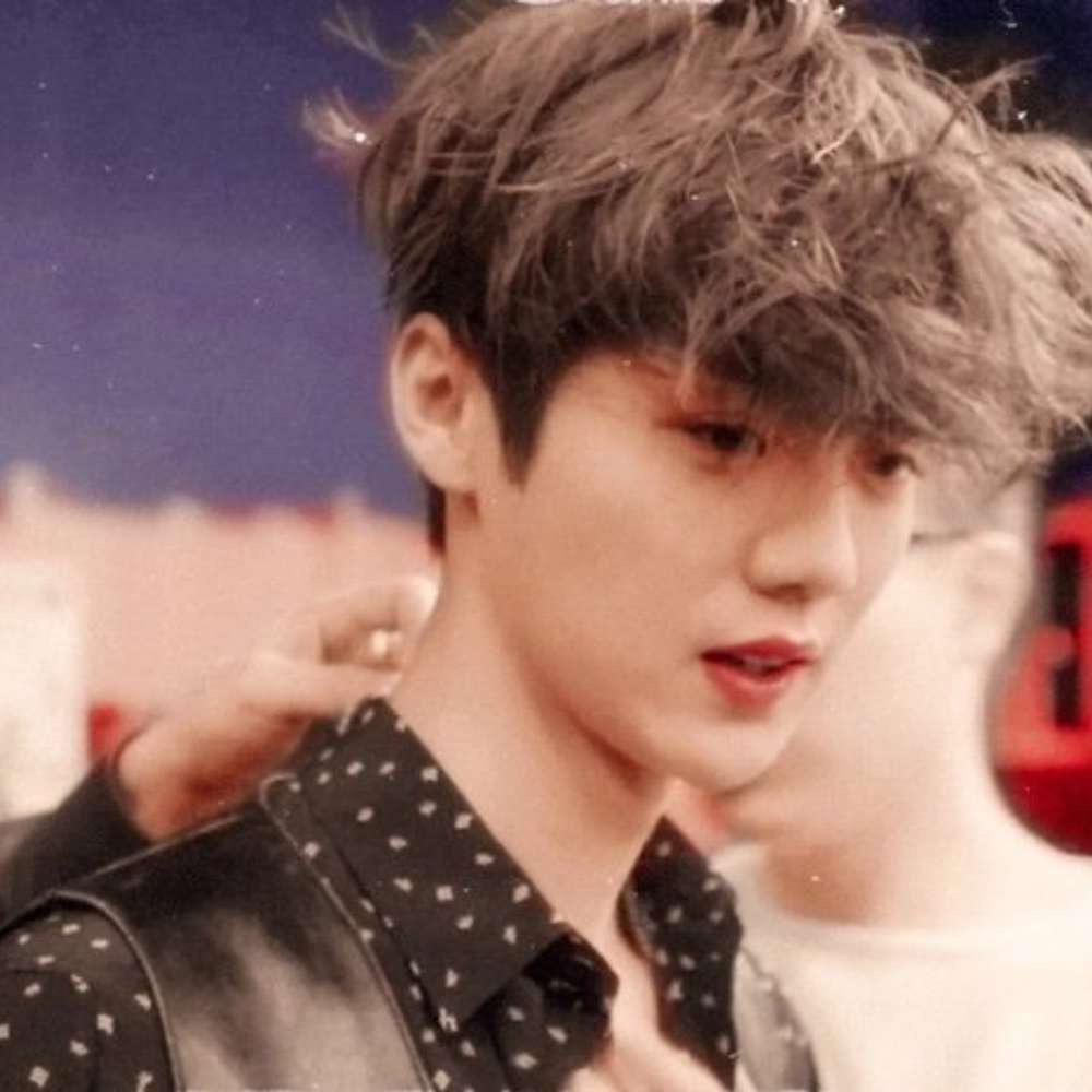 梦鹿（见过鹿晗两次版）