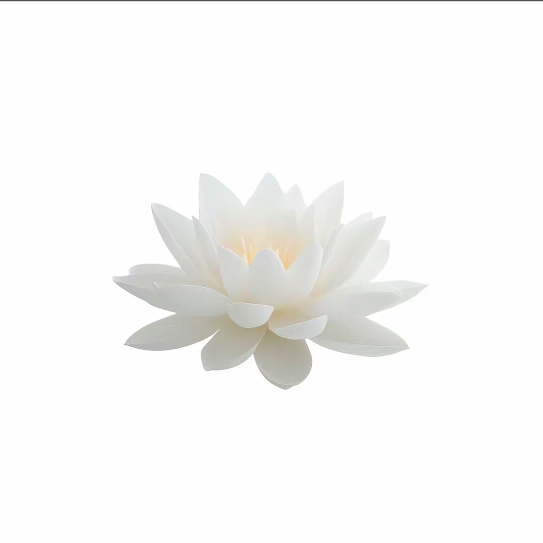 胖儿.