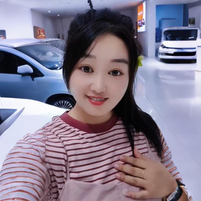 确山鸿日电动汽车