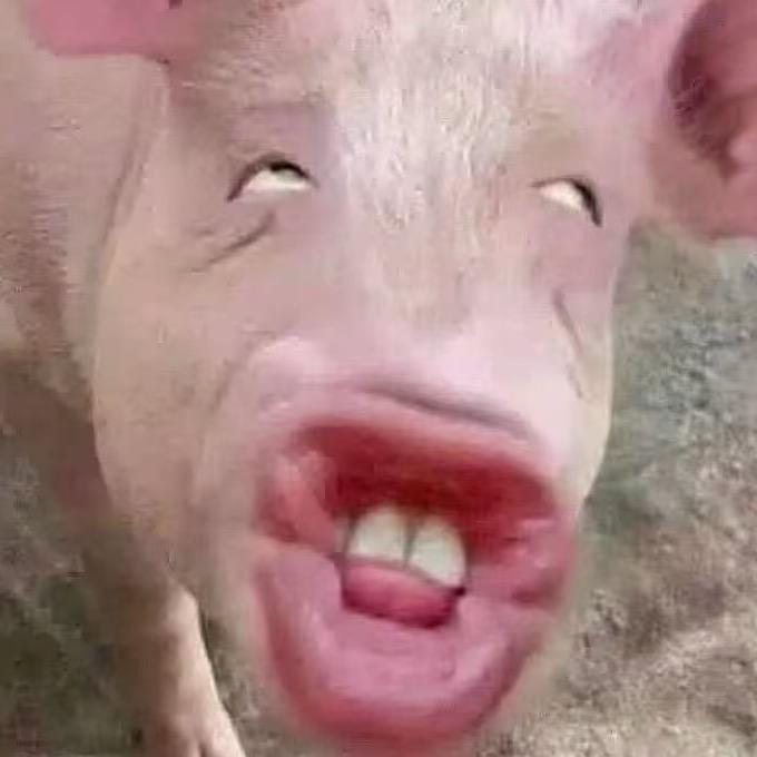 江楠