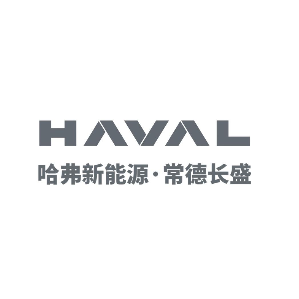 哈弗新能源常德长盛4S店