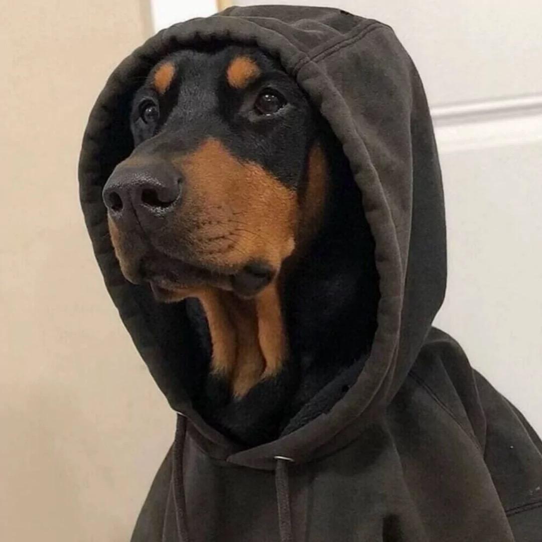 羊圈