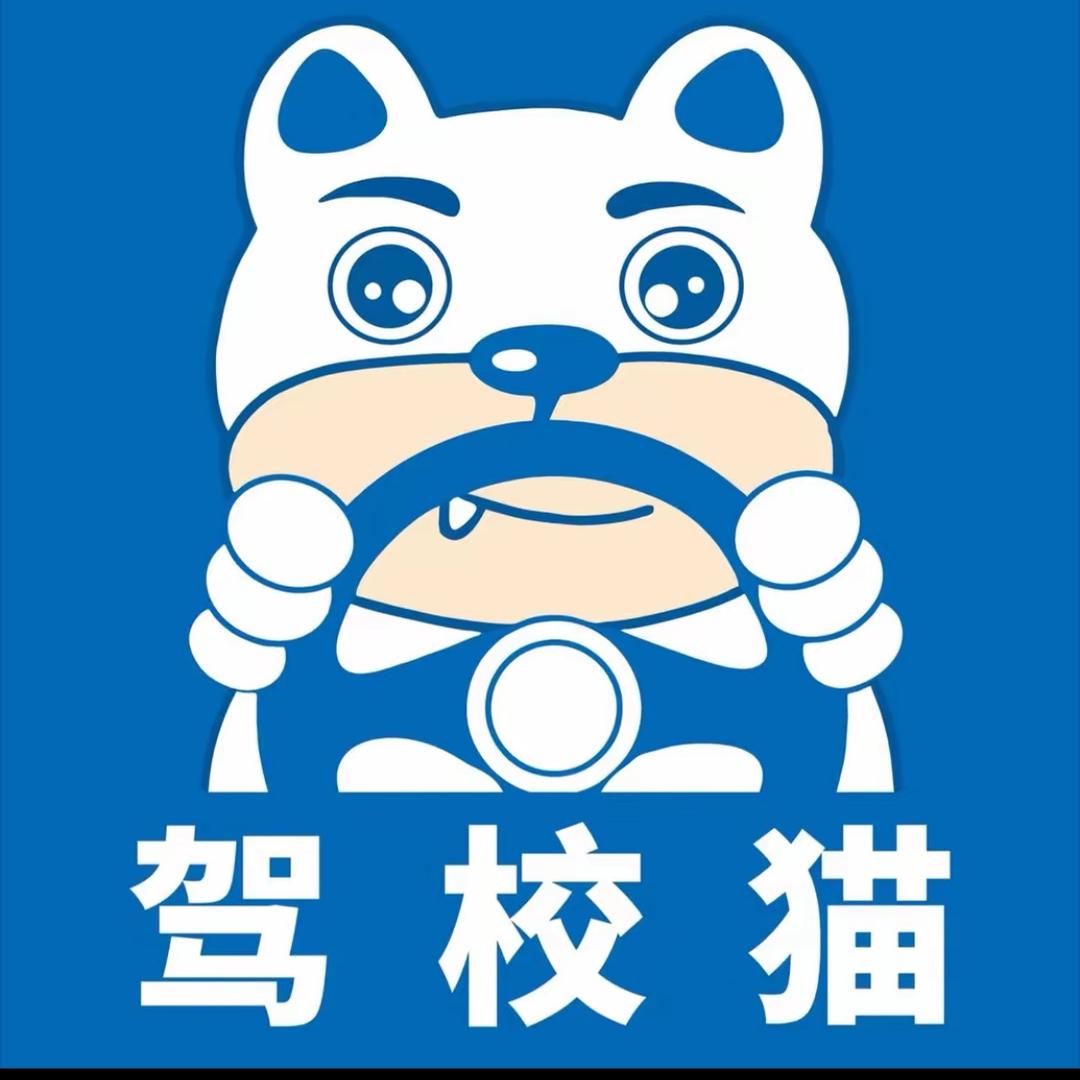 驾校猫阿东(南宁直招)
