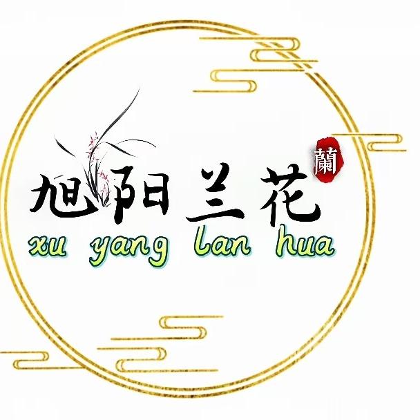 旭阳兰花