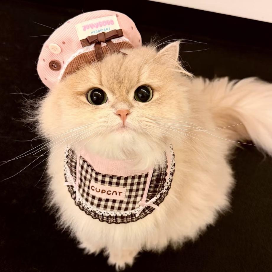 牙牙（蛋仔派对）