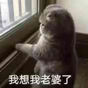 曾先生