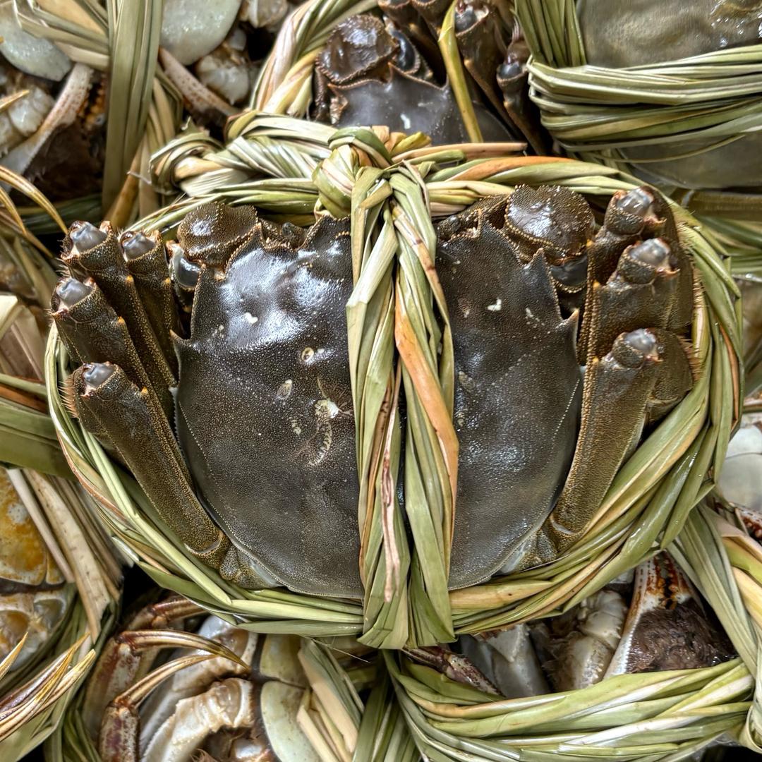 小盛在龙腾卖螃蟹版🦀