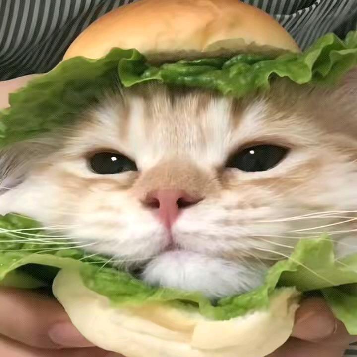 谱: