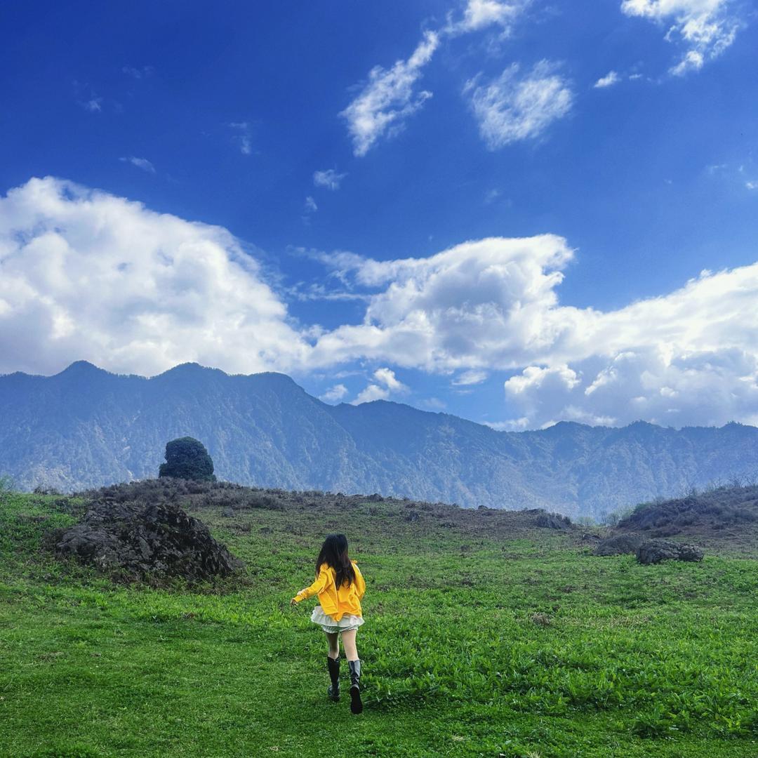 万物皆可爱，你和💰是我最爱。