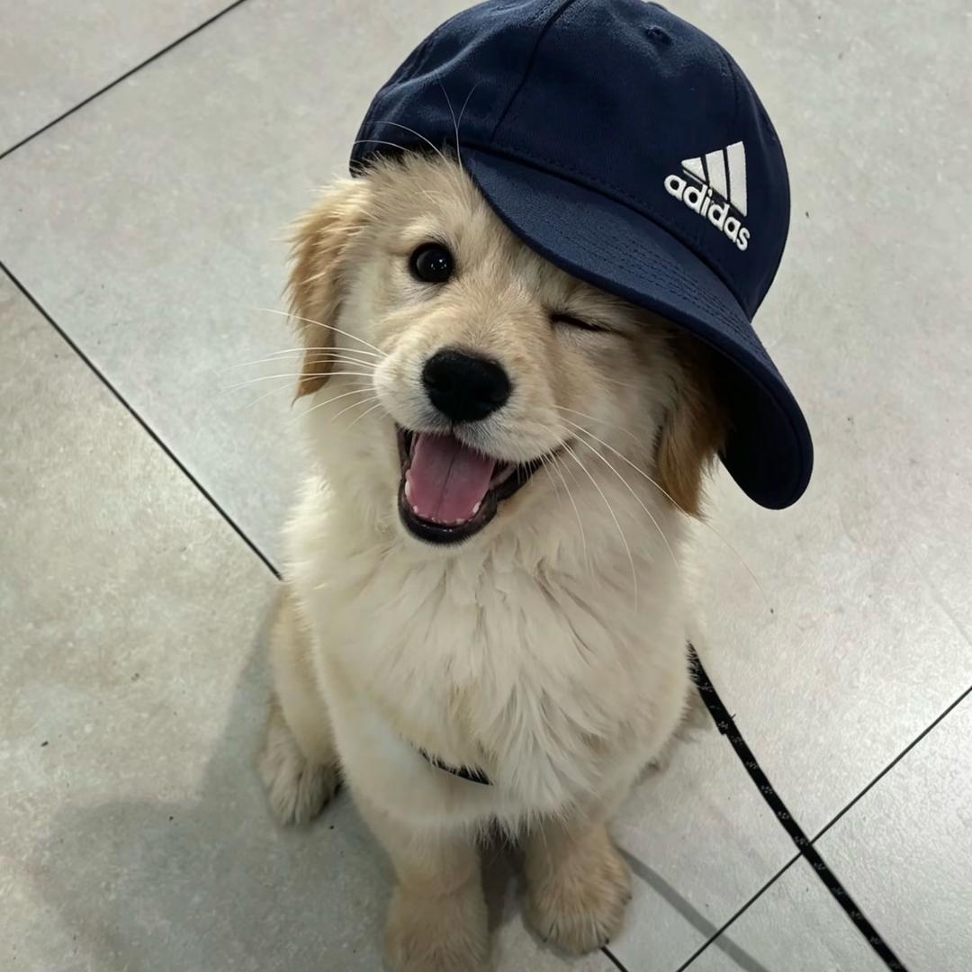 审逾头像