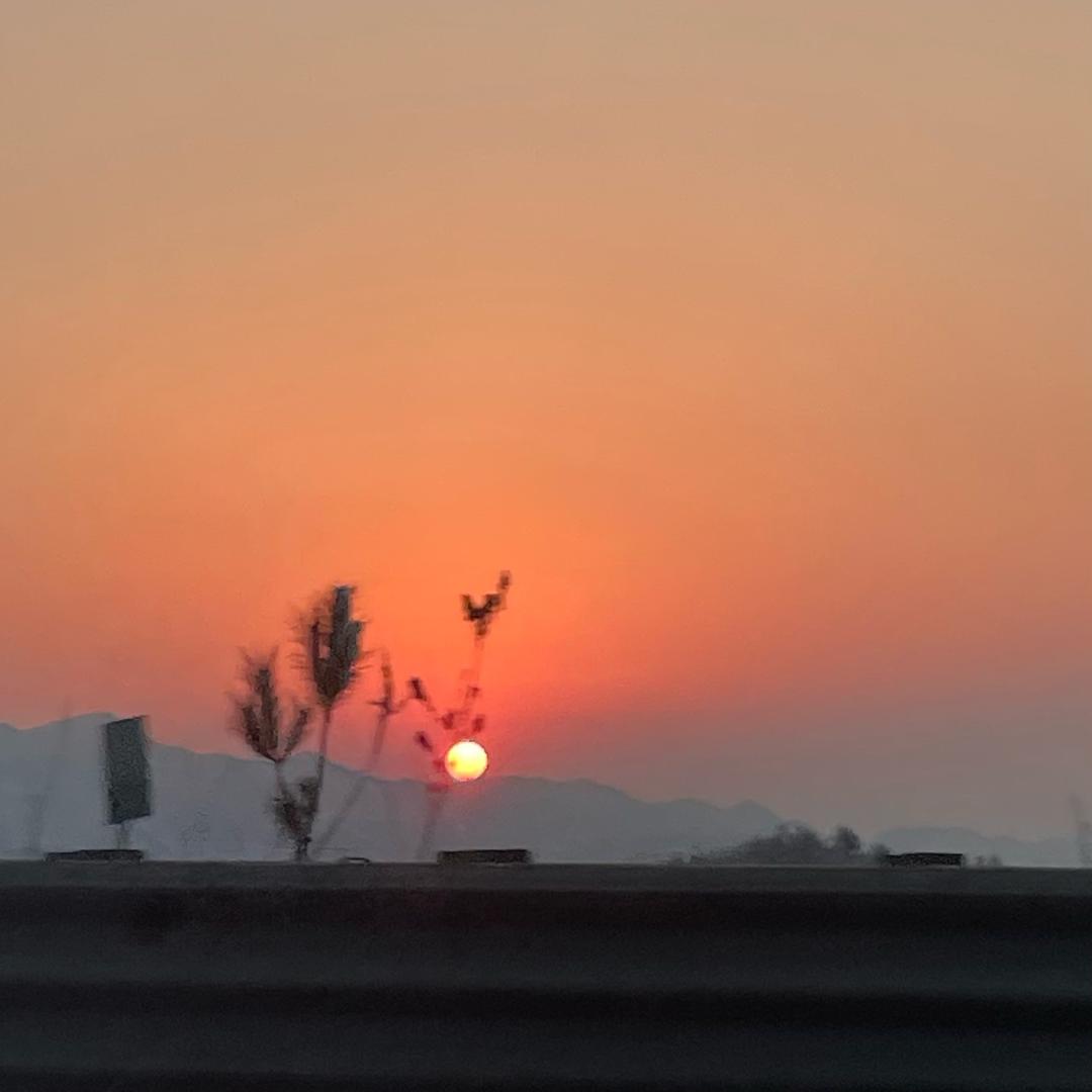 夏天的风🌞🌞