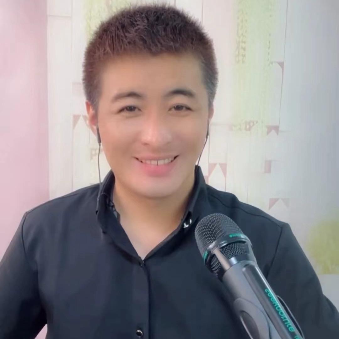 磊子伤感情歌