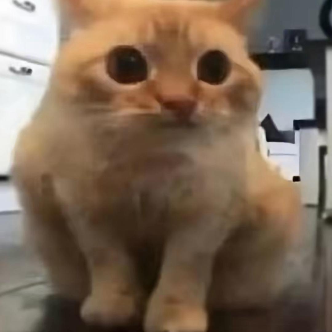 呱呱.