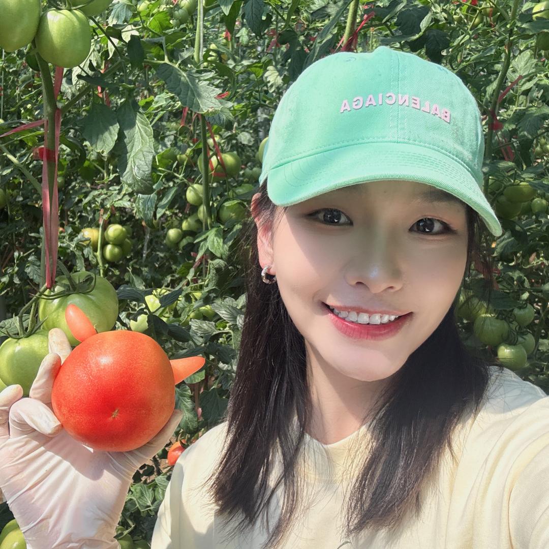 种西红柿的小美🍅