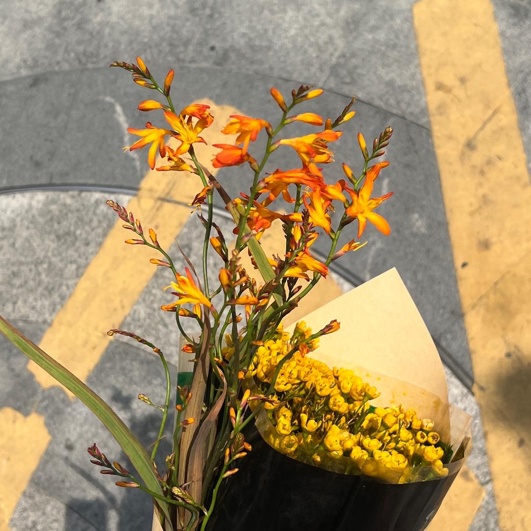 叮叮咚咚锵锵锵