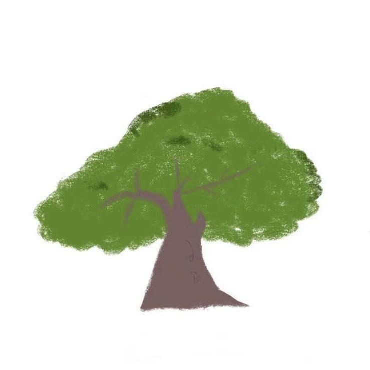 大树职场PPT