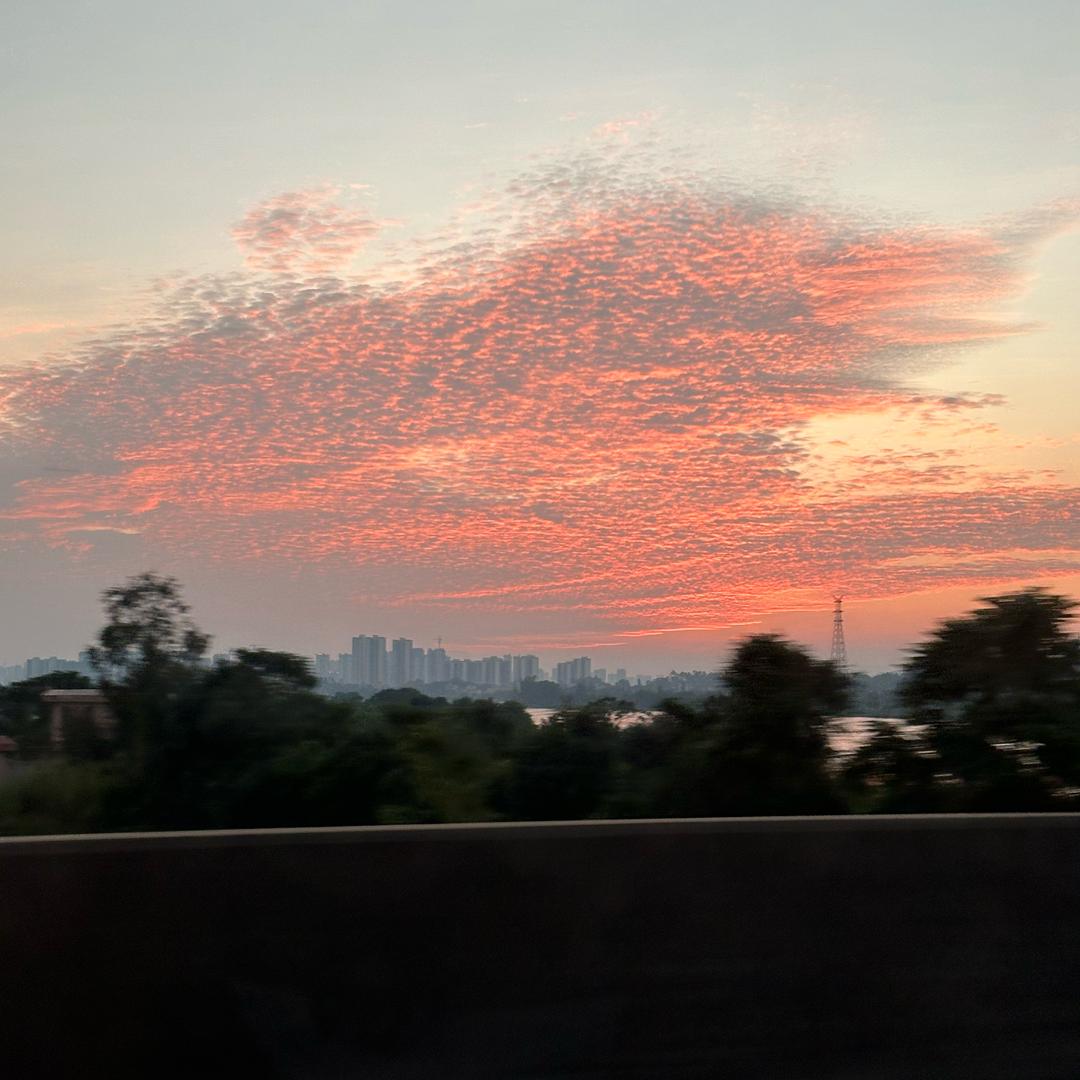 ！不吃豆芽