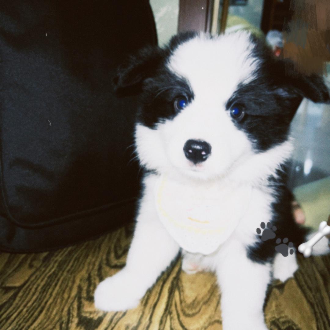 天雷滚滚我好怕怕