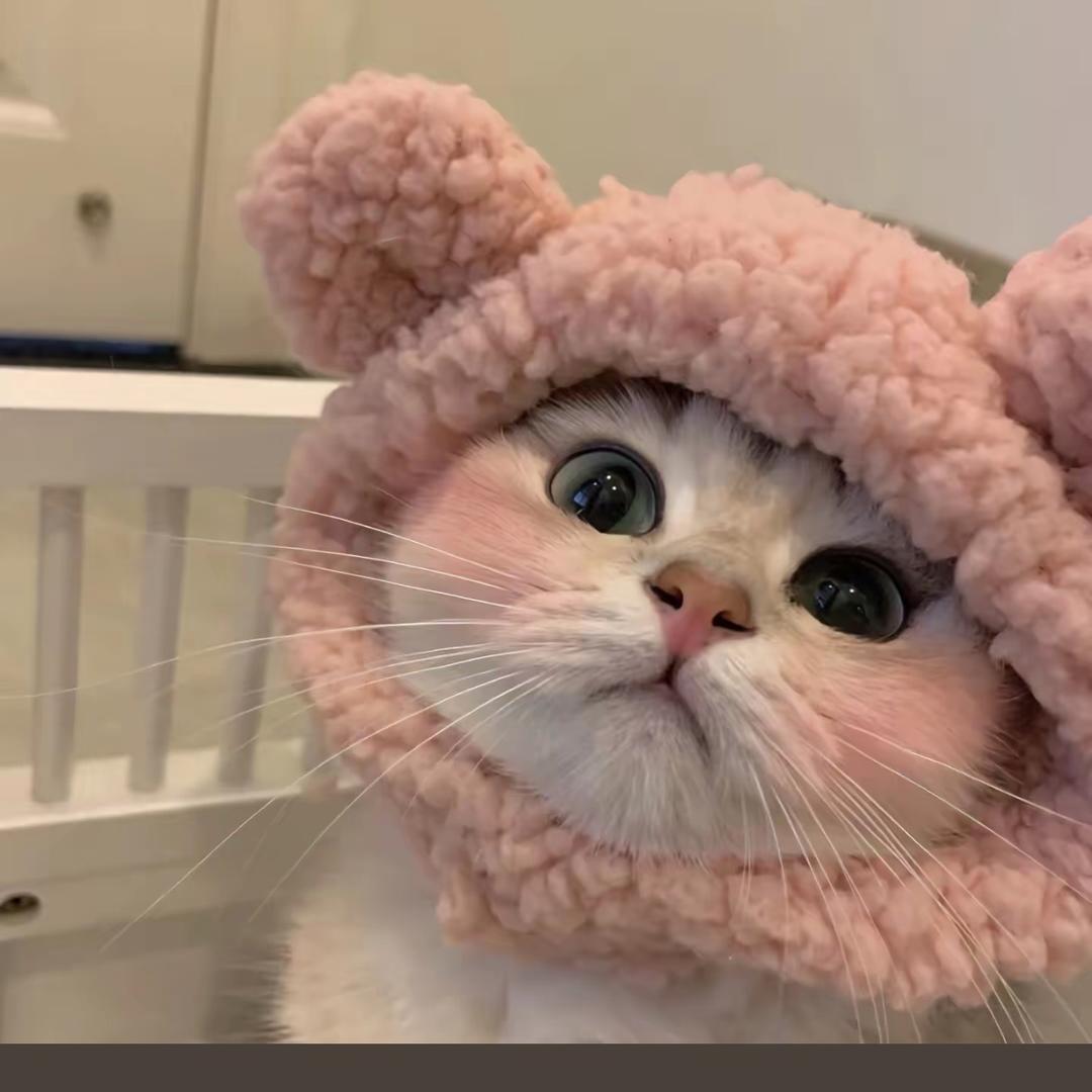 重生之高冷总裁爱上一无是处的我