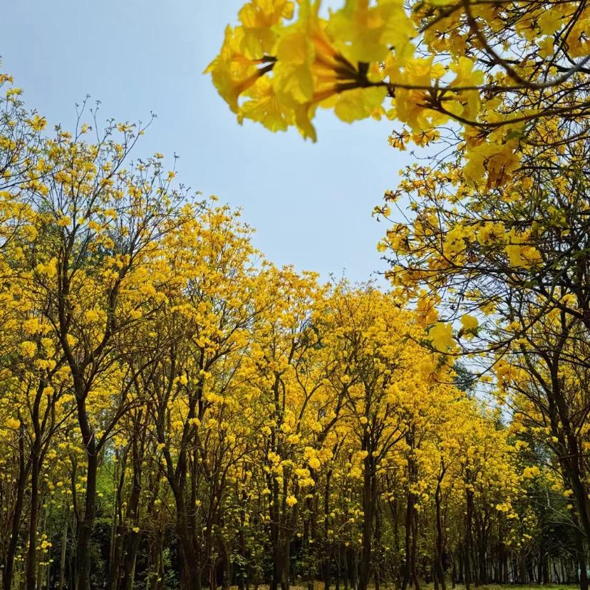 ℒℴѵℯۣۖ¹³¹⁴汐汐🔥℘࿐