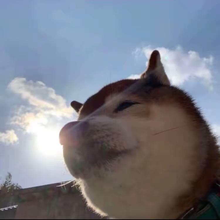 听风吹