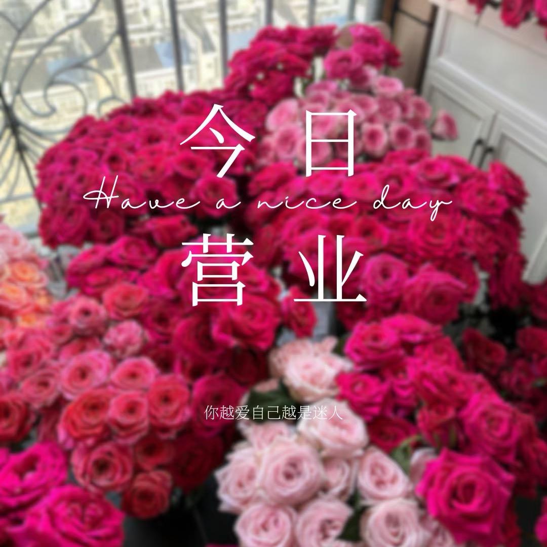 🐑毛薅秃