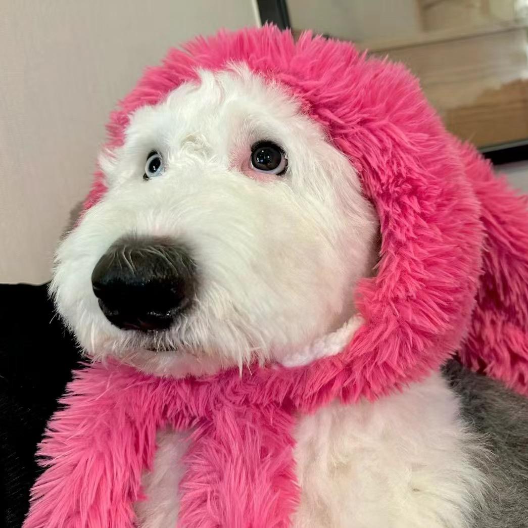 呱呱💓