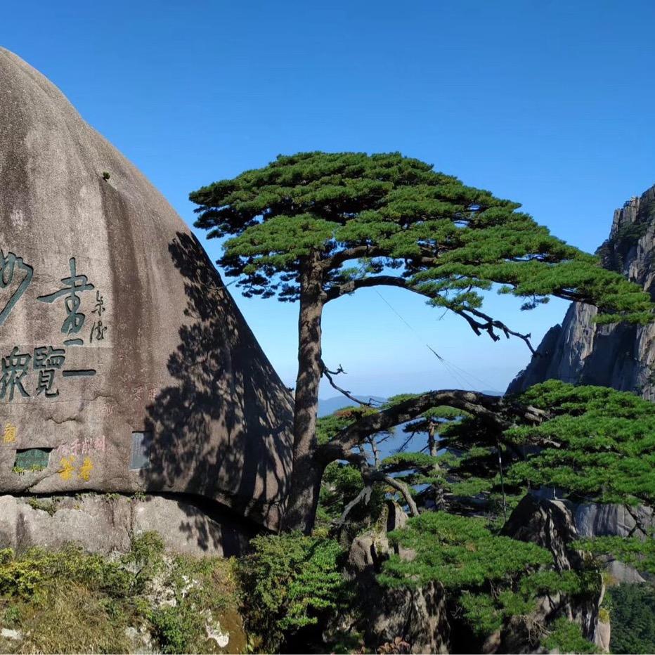 娥姐：