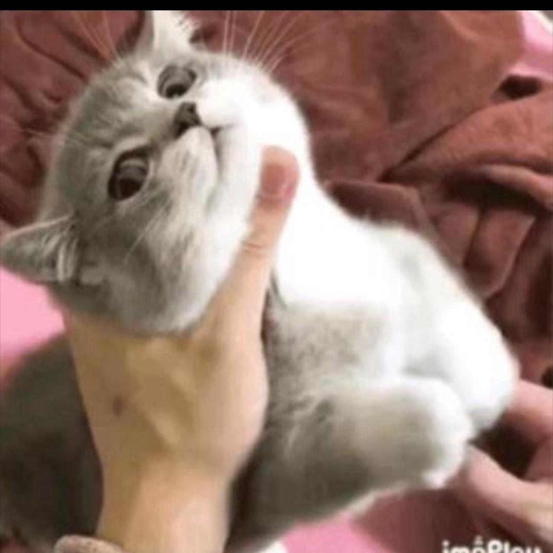糯米糍粑
