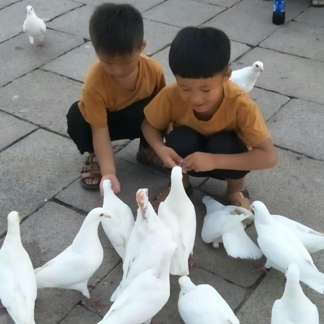 唐人天下