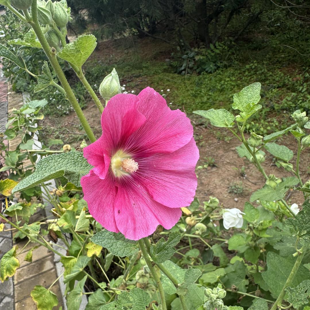 司马建筑工程有限公司