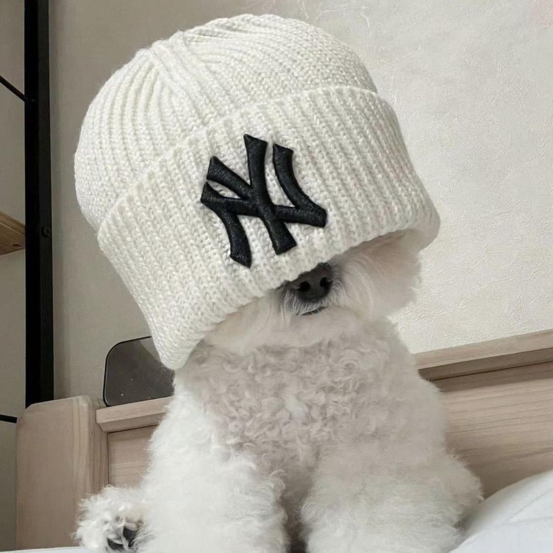 Llll_