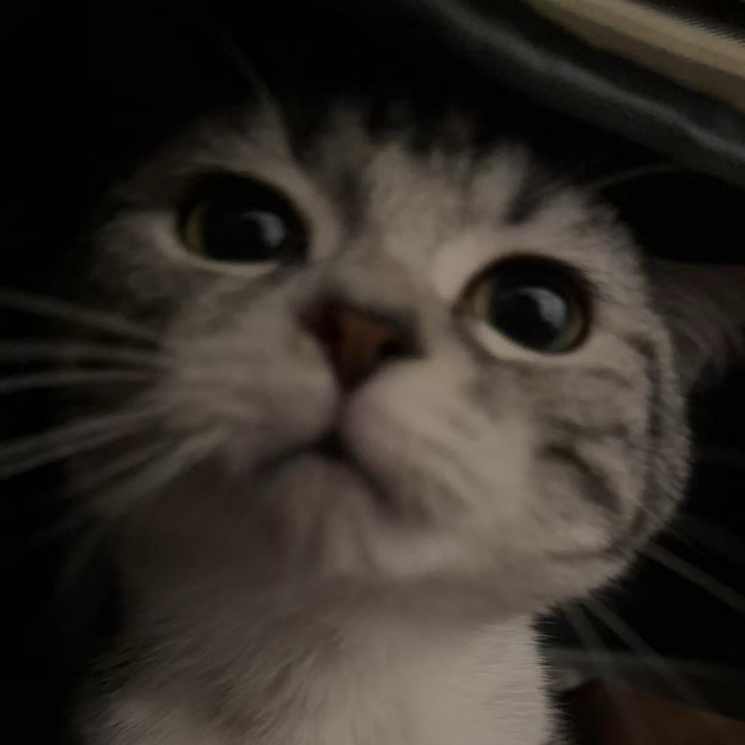 冉子sama