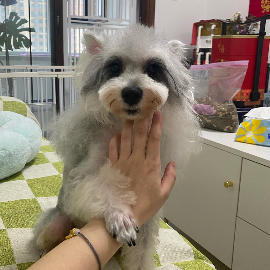 猫咪^ω^小卖部（烘焙🥯零食）