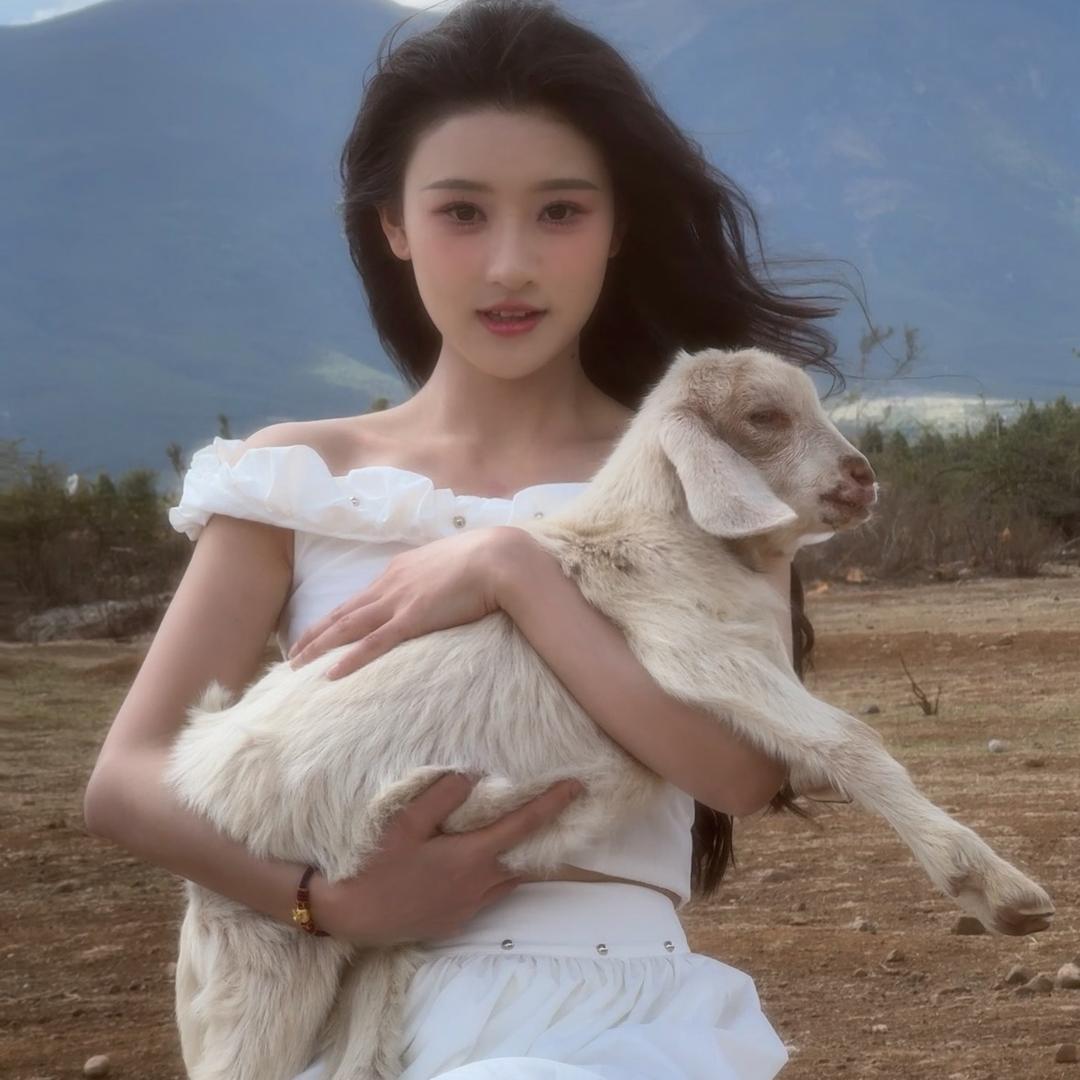 桑榆本榆