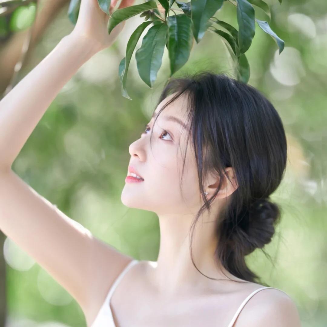 乔木一