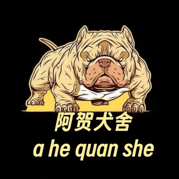 阿贺犬舍