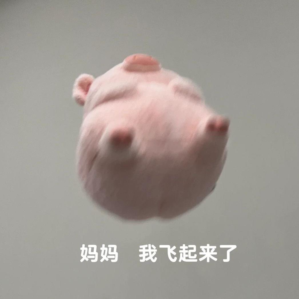 糖小琪（见过张凌赫版）