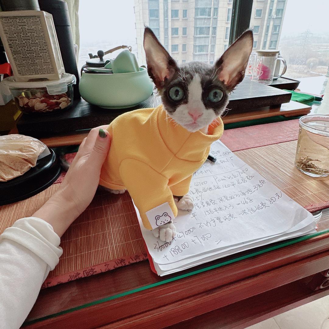 玩客数码DIY电脑台式机主机