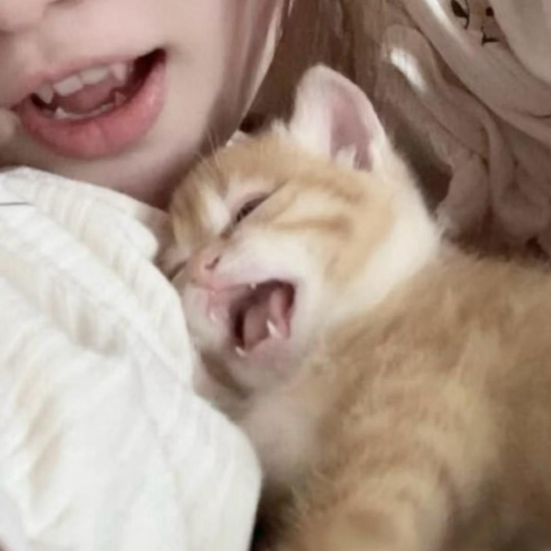 了了