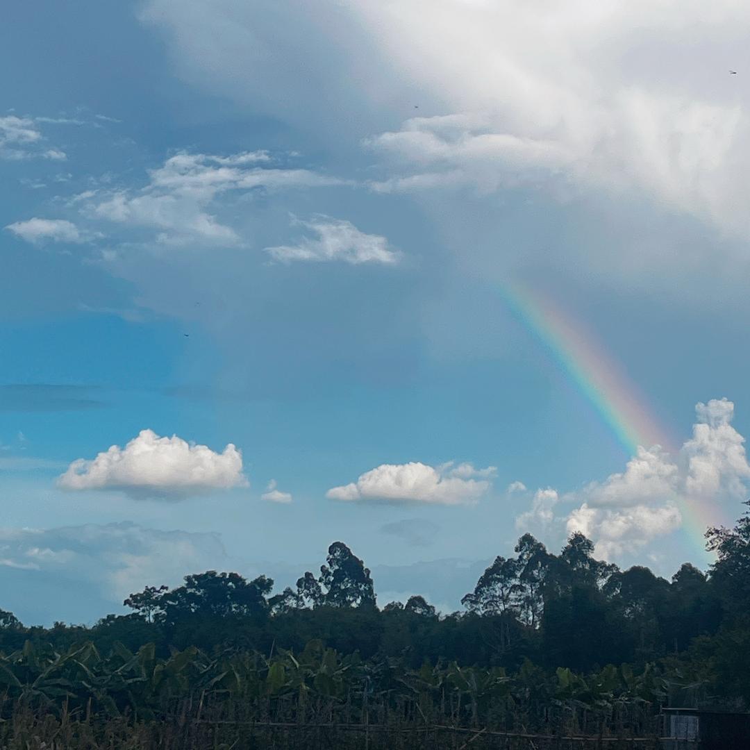🌈Li －Li