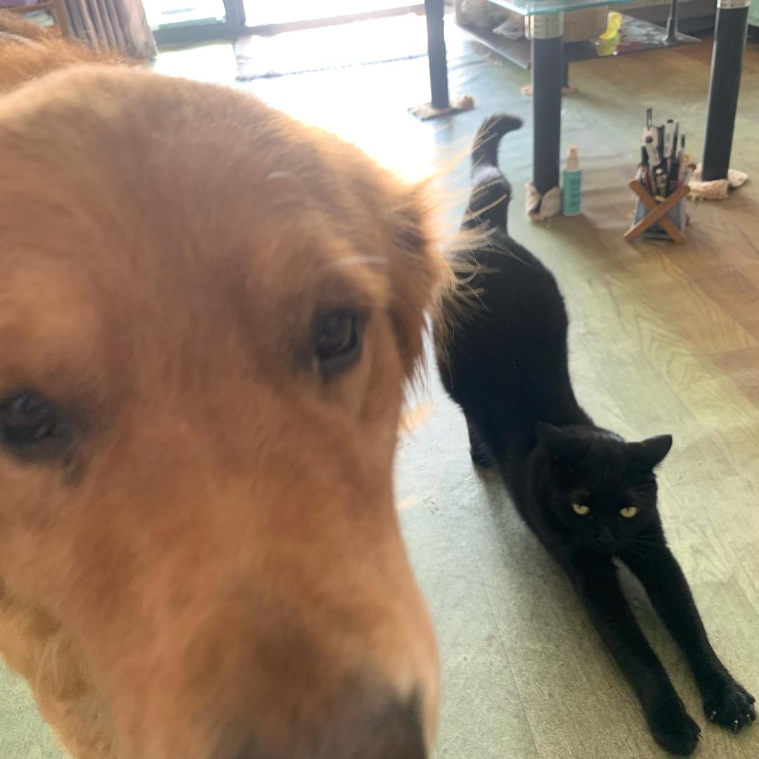 东东的饭不好吃