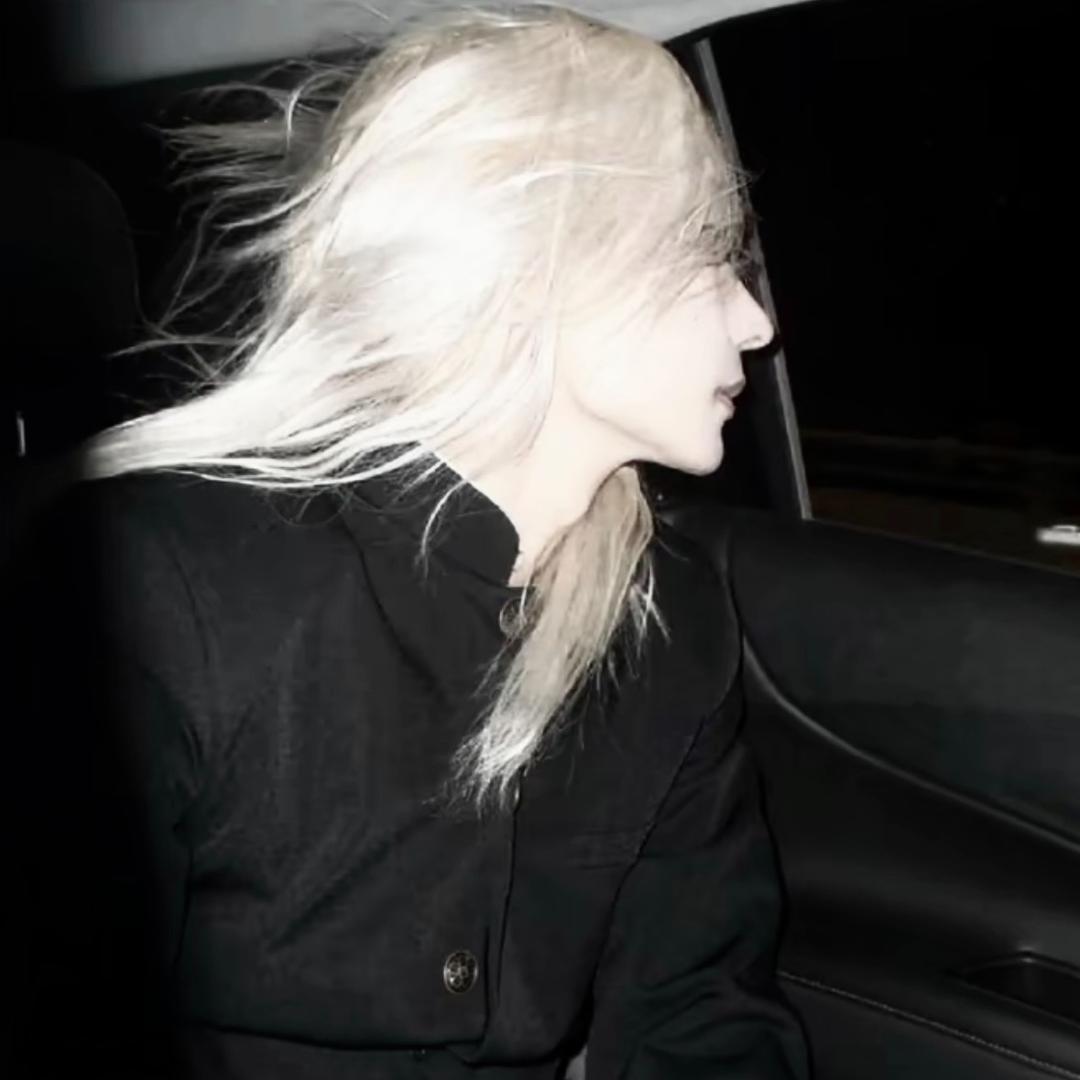 -She 蛇壹（穿孔版