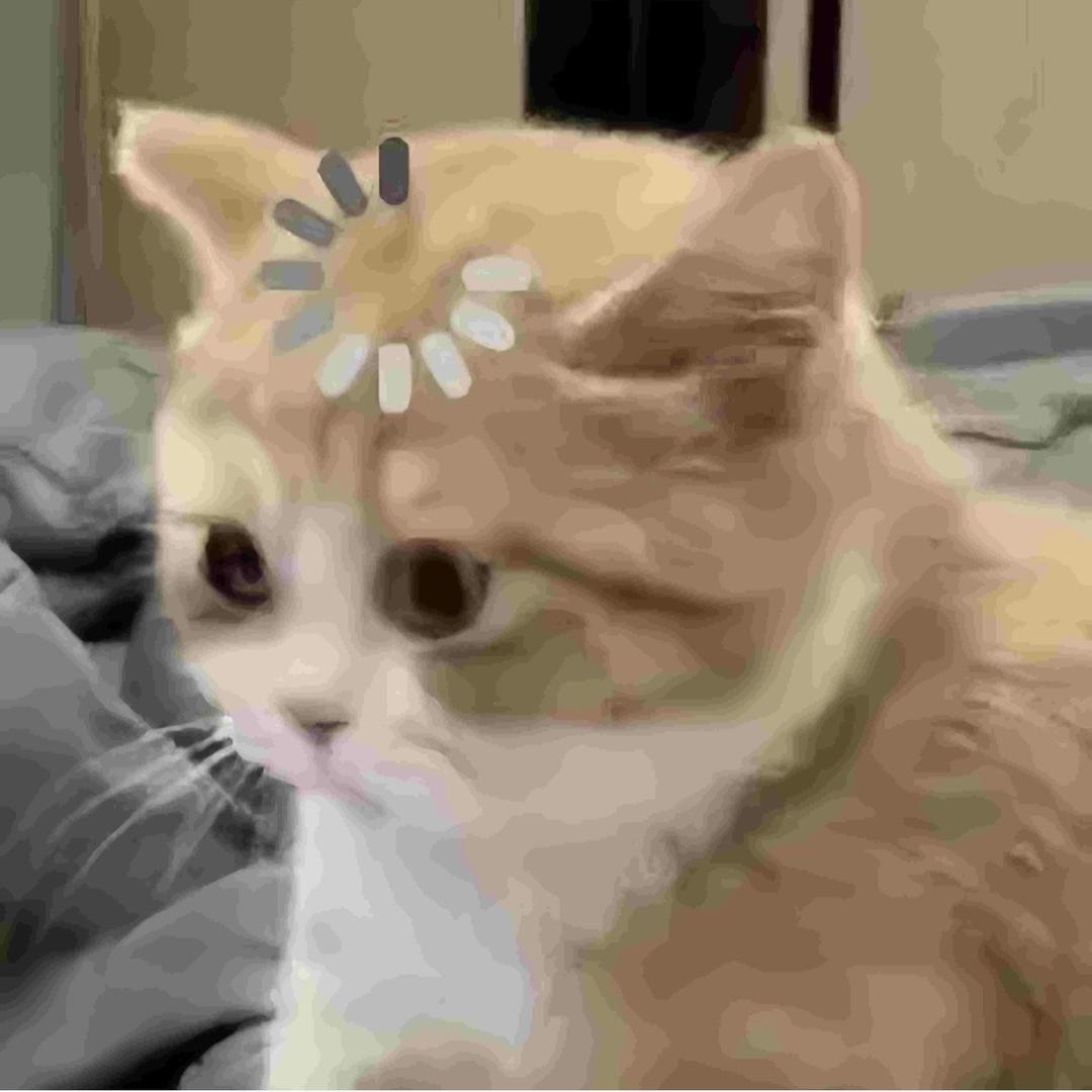 童星卡牌潮玩社