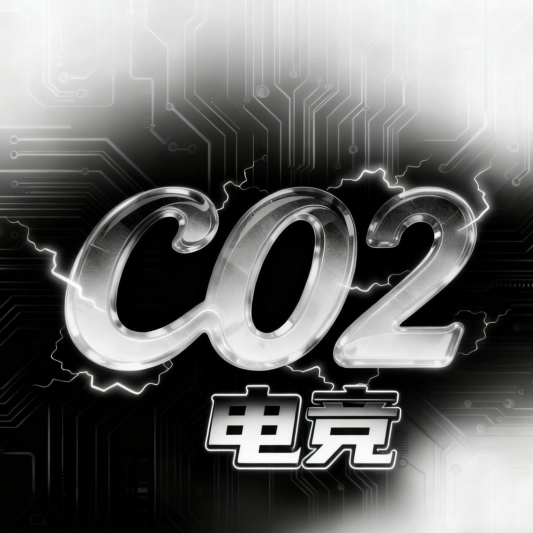 CO2电竞（三角洲行动)