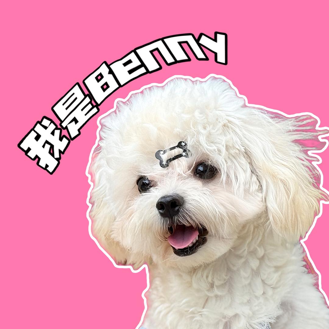 小狗班尼🐾