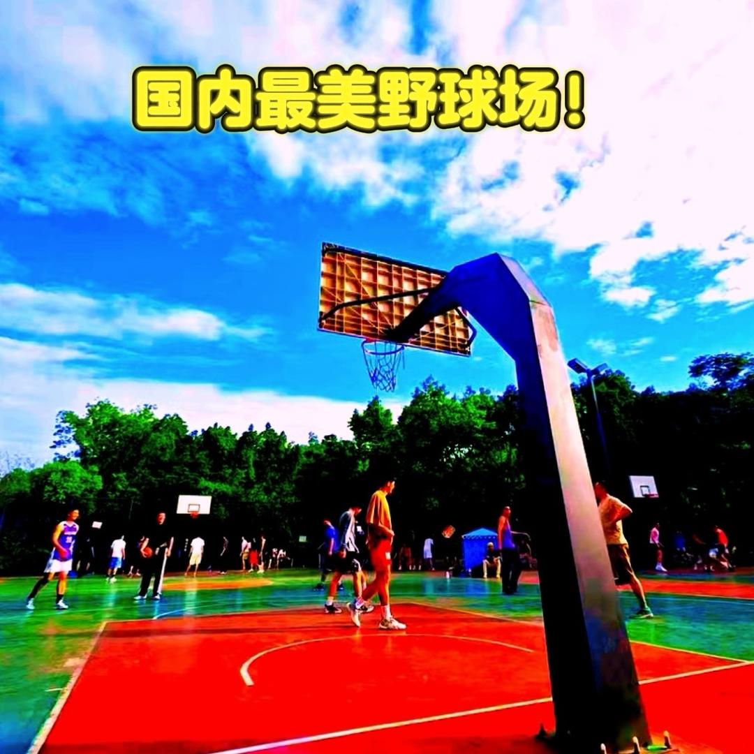 杉板桥嘴炮