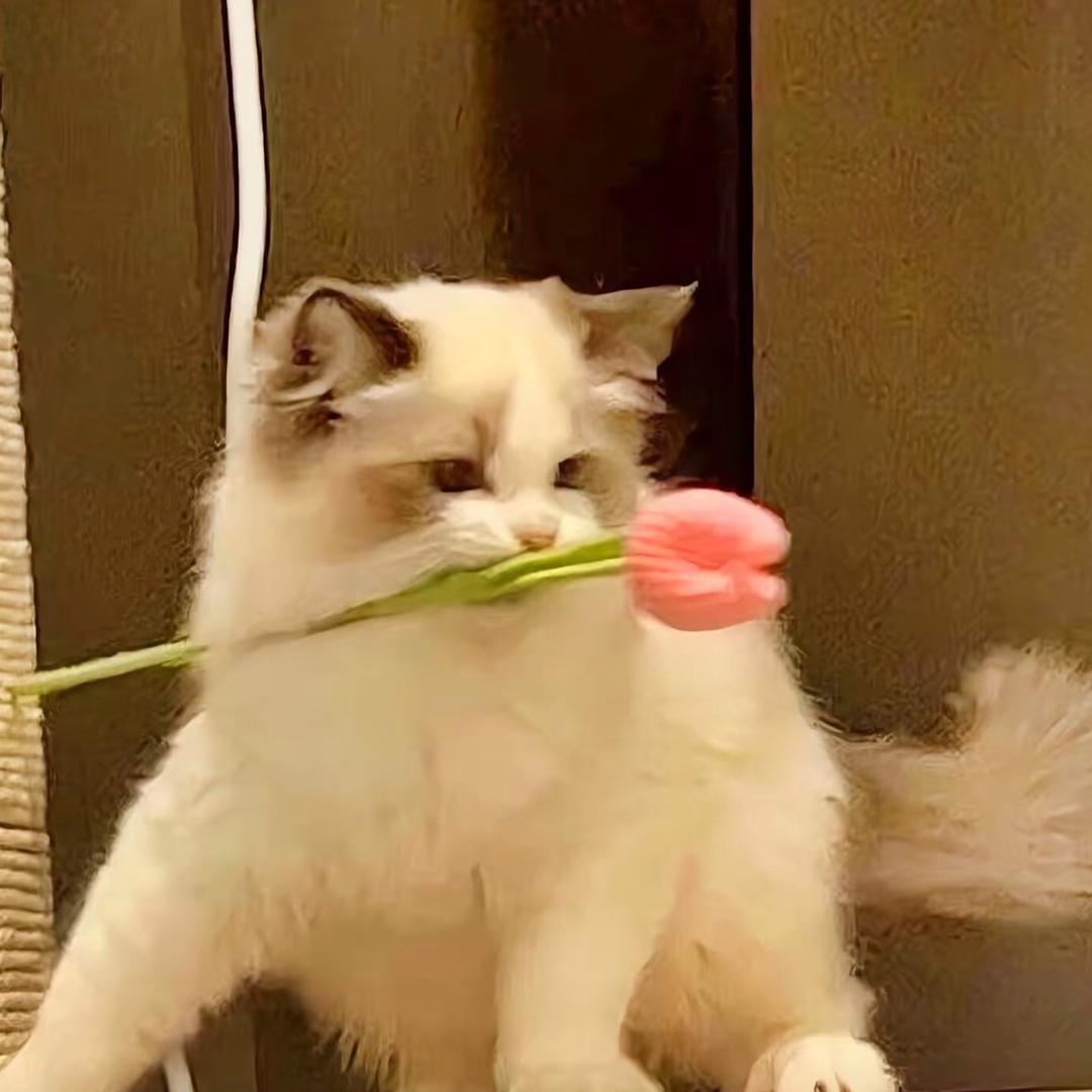 南来北往