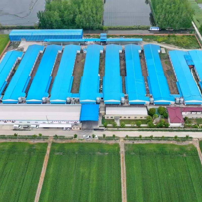 大型珍禽脱温基地